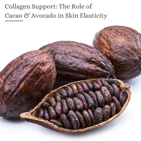 Collagen Support: The Role of Cacao &amp; Avocado in Skin Elasticity