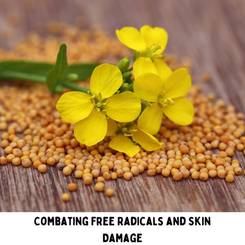 Combating Free Radicals and Skin Damage