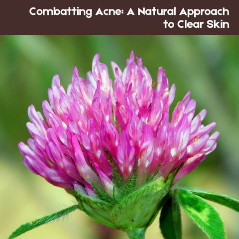 Combatting Acne: A Natural Approach to Clear Skin