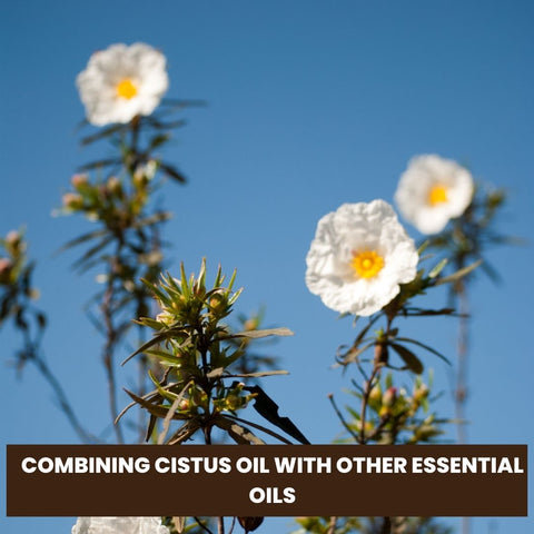 Combining Cistus Oil with Other Essential Oils