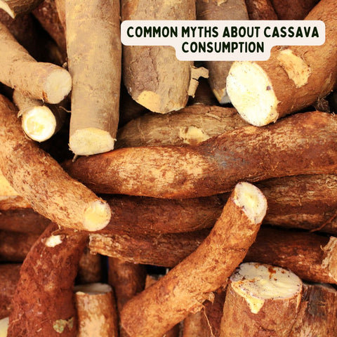 Common Myths About Cassava Consumption