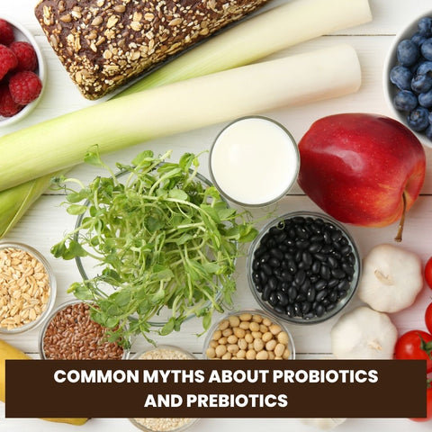 Common Myths About Probiotics and Prebiotics