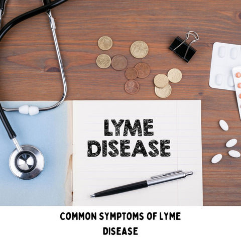 Common Symptoms of Lyme Disease