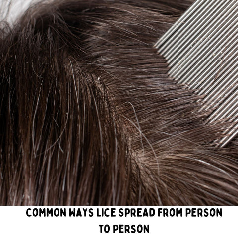 Common Ways Lice Spread from Person to Person