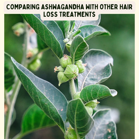 Comparing Ashwagandha with Other Hair Loss Treatments