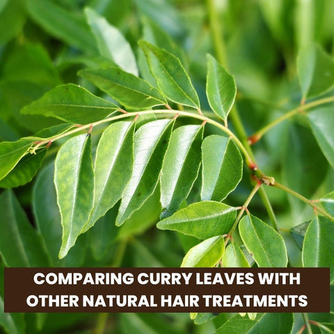 Comparing Curry Leaves with Other Natural Hair Treatments