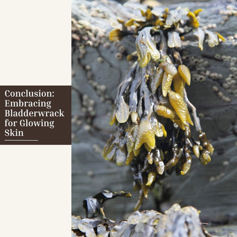 Conclusion: Embracing Bladderwrack for Glowing Skin