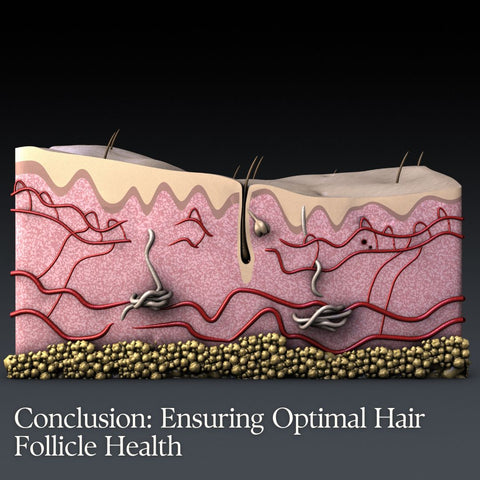 Conclusion: Ensuring Optimal Hair Follicle Health