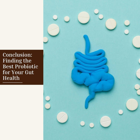 Conclusion: Finding the Best Probiotic for Your Gut Health