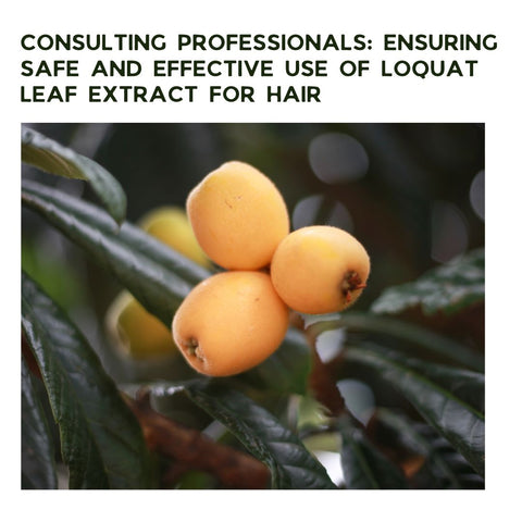 Consulting Professionals: Ensuring Safe and Effective Use of Loquat Leaf Extract for Hair