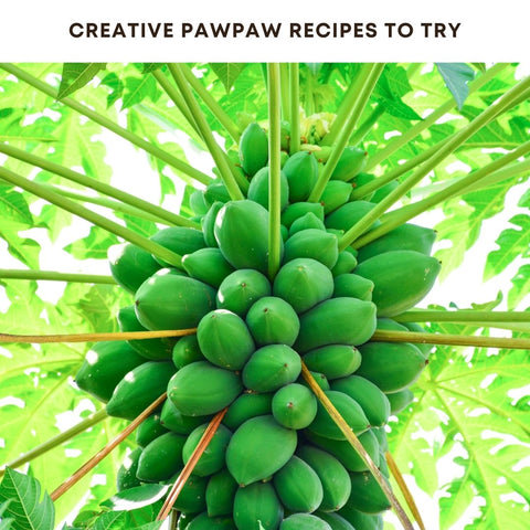Creative Pawpaw Recipes to Try