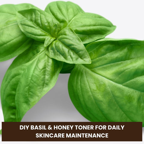 DIY Basil &amp; Honey Skincare Treatments for Acne-Free Skin