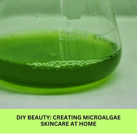 DIY Beauty: Creating Microalgae Skincare at Home
