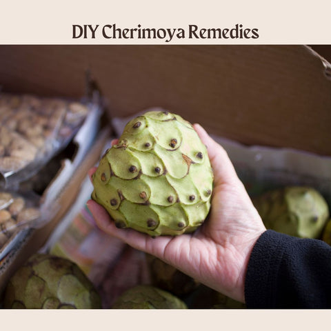 DIY Cherimoya Remedies