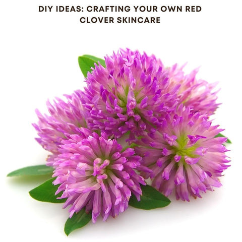 DIY Ideas: Crafting Your Own Red Clover Skincare