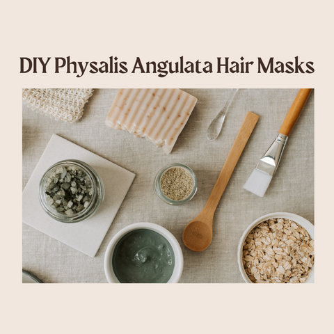 DIY Physalis Angulata Hair Masks