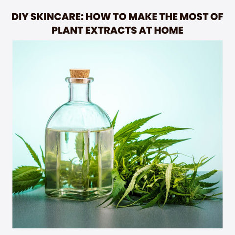 DIY Skincare: How to Make the Most of Plant Extracts at Home