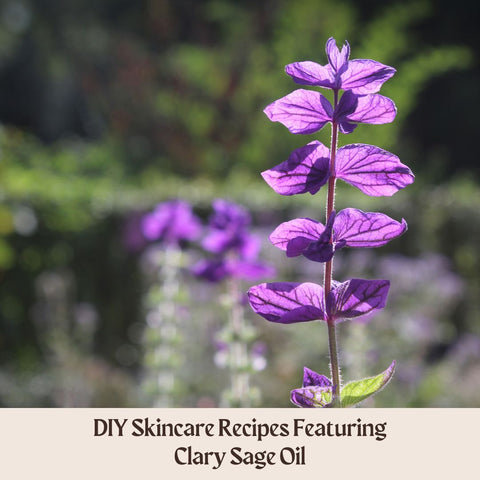 DIY Skincare Recipes Featuring Clary Sage Oil