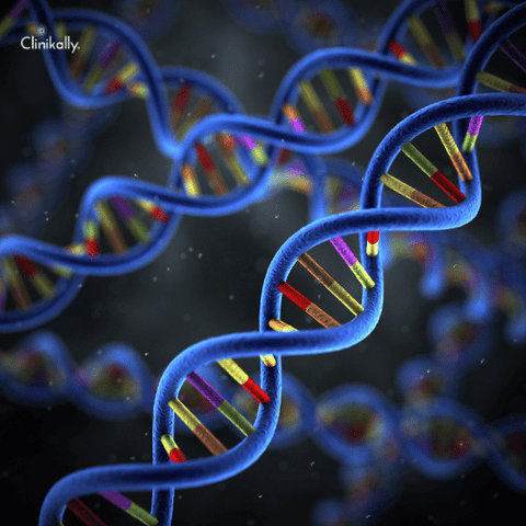 preventive DNA testing for optimal skin and hair care