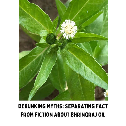 Debunking Myths: Separating Fact from Fiction About Bhringraj Oil
