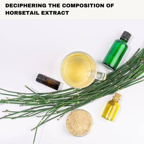 Deciphering the Composition of Horsetail Extract