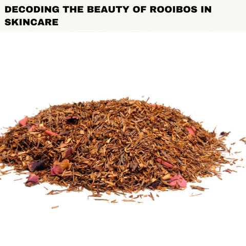Decoding the Beauty of Rooibos in Skincare