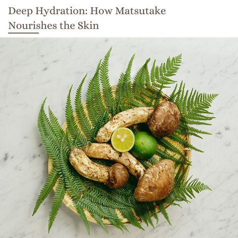 Deep Hydration: How Matsutake Nourishes the Skin