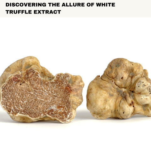 Discovering the Allure of White Truffle Extract