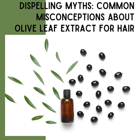 Dispelling Myths: Common Misconceptions About Olive Leaf Extract for Hair