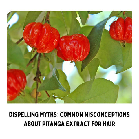 Dispelling Myths: Common Misconceptions About Pitanga Extract for Hair