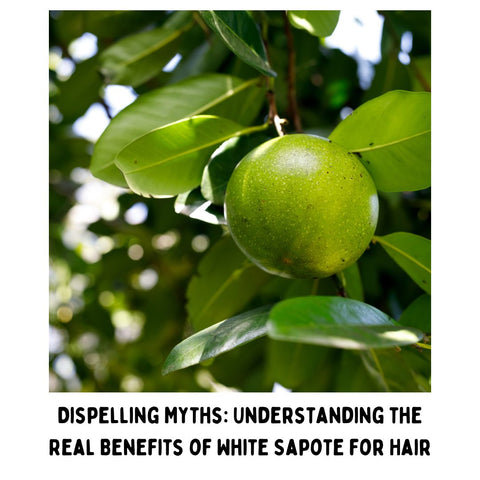 Dispelling Myths: Understanding the Real Benefits of White Sapote for Hair