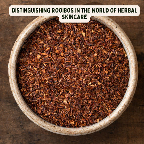 Distinguishing Rooibos in the World of Herbal Skincare