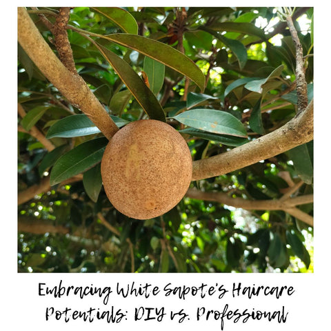 Embracing White Sapote's Haircare Potentials: DIY vs. Professional