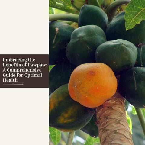Embracing the Benefits of Pawpaw: A Comprehensive Guide for Optimal Health