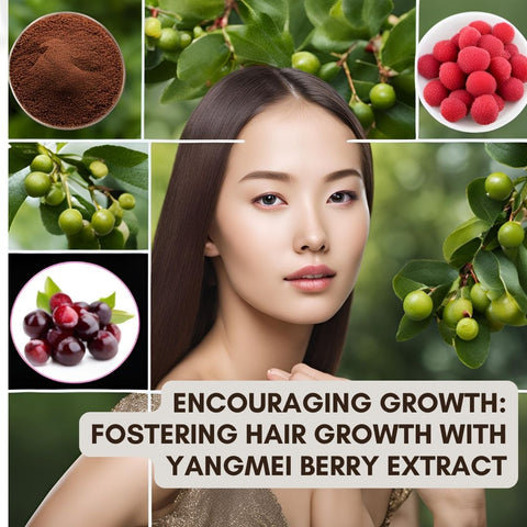 Encouraging Growth: Fostering Hair Growth with Yangmei Berry Extract