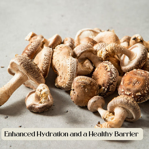 Enhanced Hydration and a Healthy Barrier 