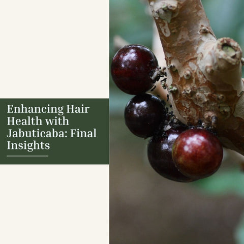 Enhancing Hair Health with Jabuticaba: Final Insights