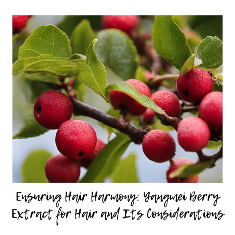 Ensuring Hair Harmony: Yangmei Berry Extract for Hair and Its Considerations