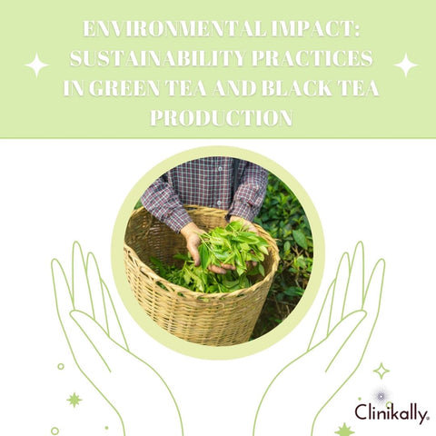 Environmental Impact: Sustainability Practices in Green Tea and Black Tea Production