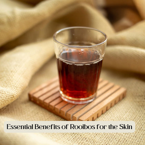 Essential Benefits of Rooibos for the Skin