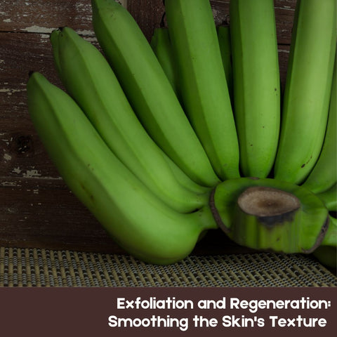 Exfoliation and Regeneration: Smoothing the Skin's Texture&nbsp;