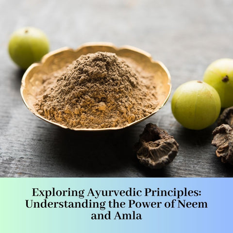 Exploring Ayurvedic Principles: Understanding the Power of Neem and Amla