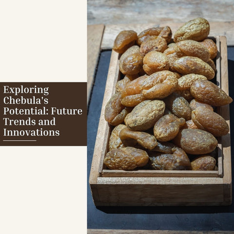 Exploring Chebula's Potential: Future Trends and Innovations