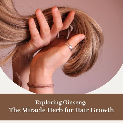 Exploring Ginseng: The Miracle Herb for Hair Growth