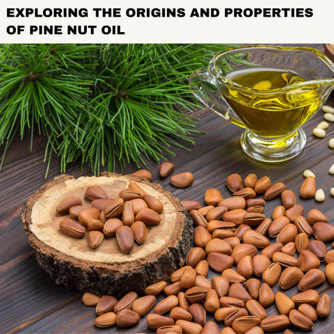 Exploring the Origins and Properties of Pine Nut Oil