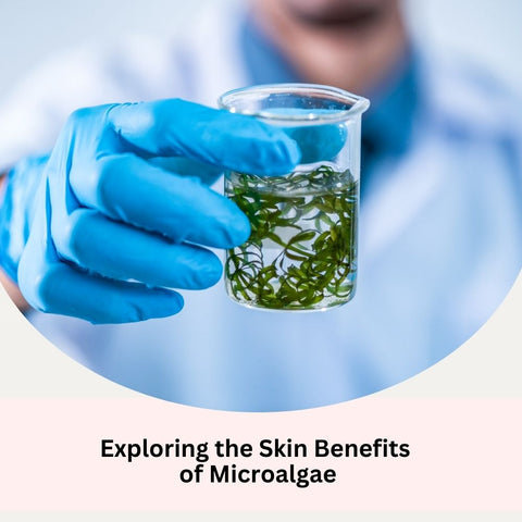 Exploring the Skin Benefits of Microalgae