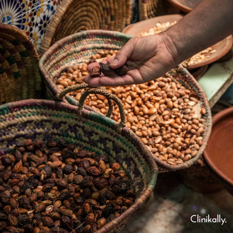Extraction process of argan oil