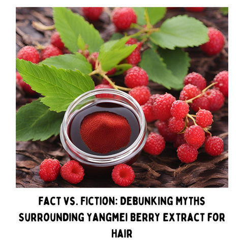 Fact vs. Fiction: Debunking Myths Surrounding Yangmei Berry Extract for Hair