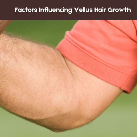 Factors Influencing Vellus Hair Growth