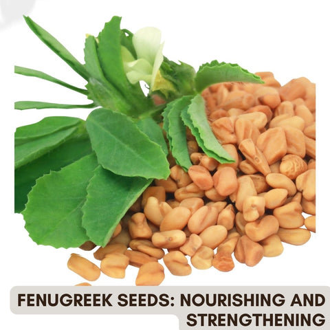 Fenugreek Seeds: Nourishing and Strengthening